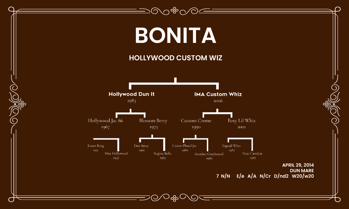 Donadora Bonita