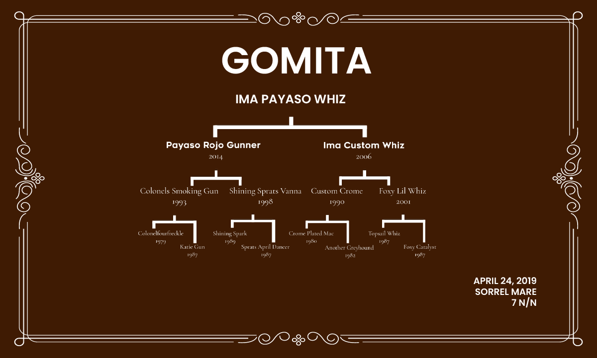 Donadora Gomita
