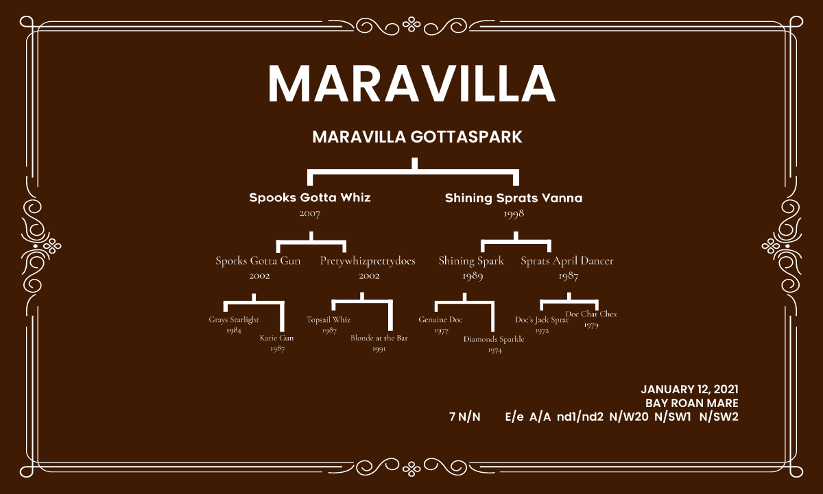 Donadora Maravilla