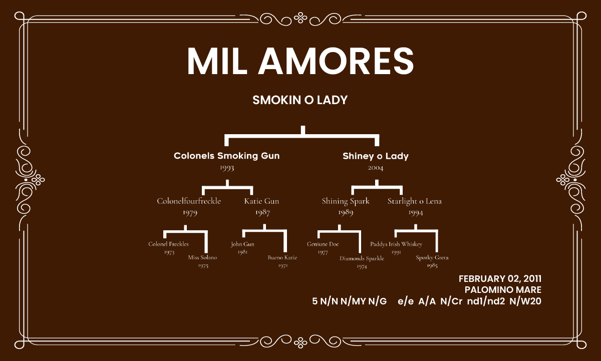 Donadora Mil Amores