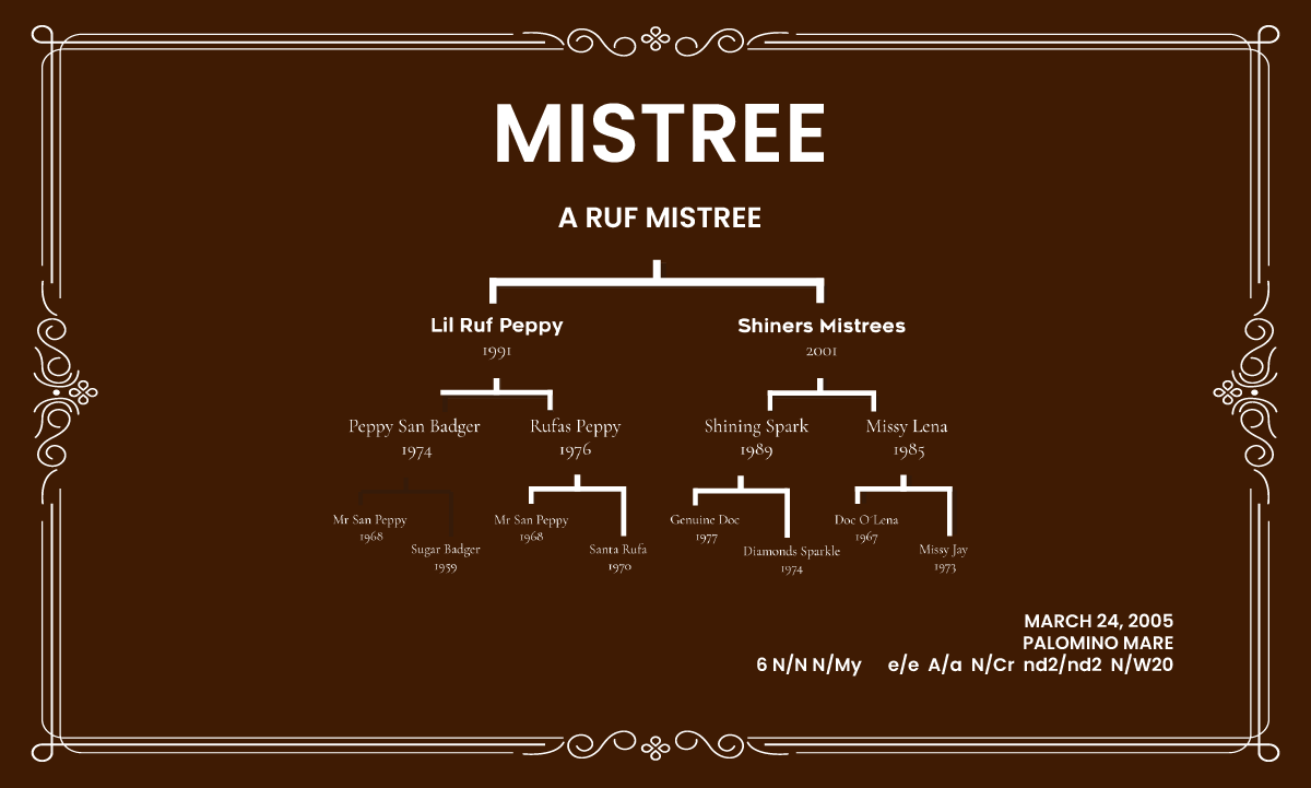 Donadora Mistree