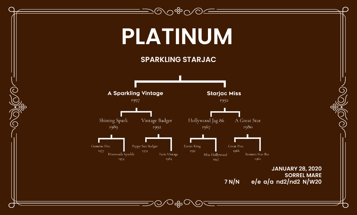 Donadora Platinum