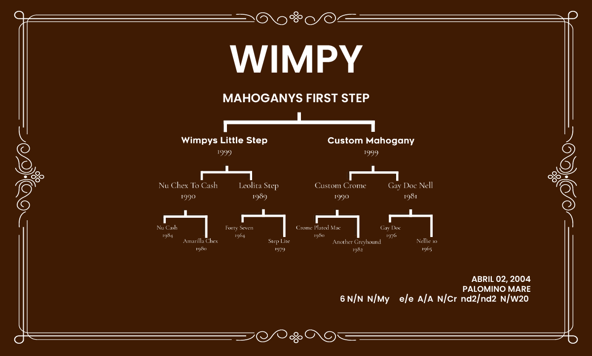 Donadora Wimpy